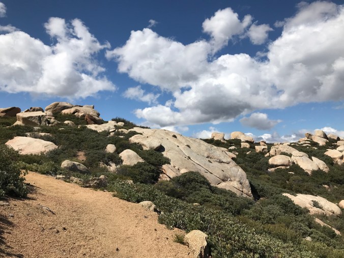 07C5FBB4-AEEA-4AED-B6BA-7E9019394BB6