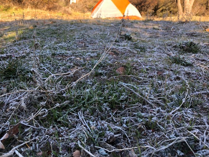 0C79FA0E-CFCC-47CD-93C1-DBA41477FB7C