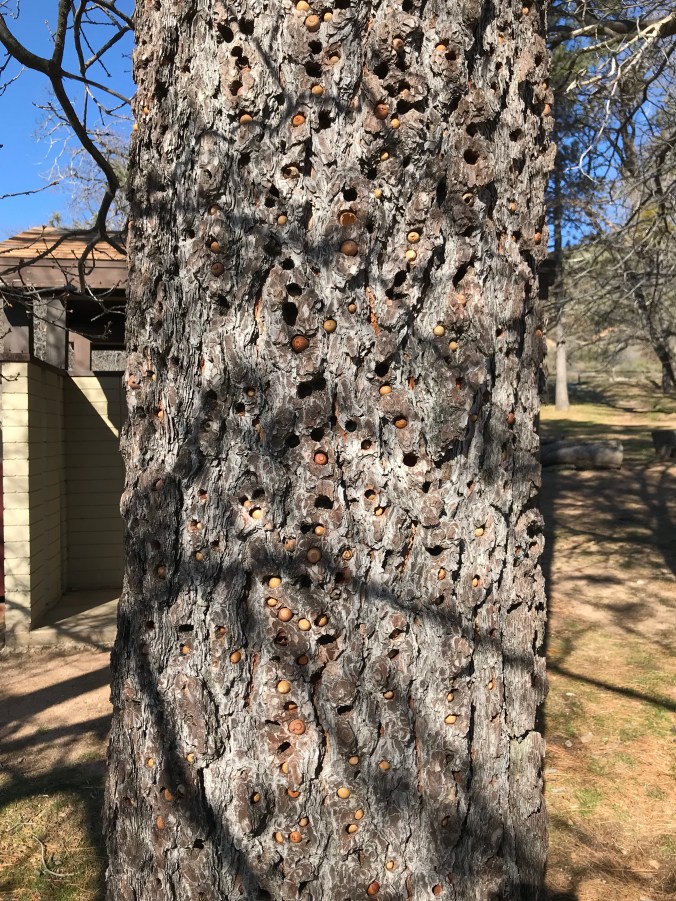 3FC86362-B200-4D45-899C-208EDEC59E94