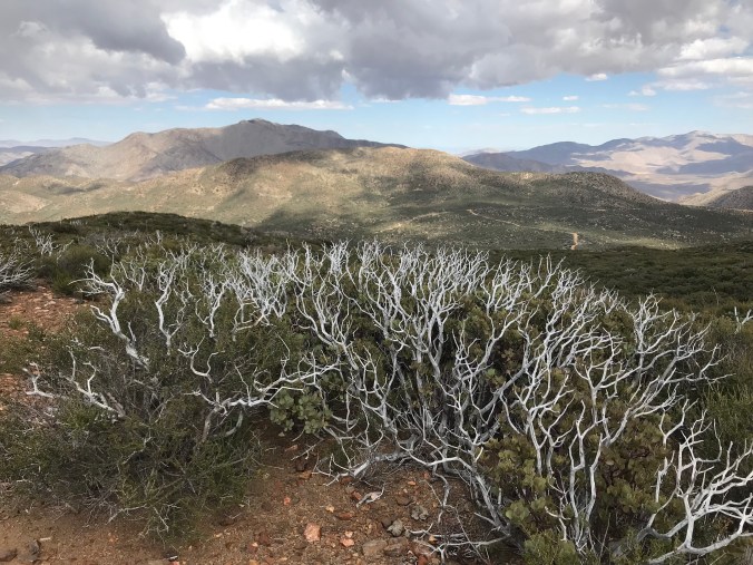 4071C577-6188-45F2-BE60-5652C105C194