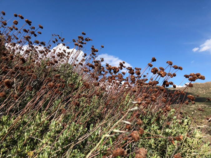 60448299-ECD0-4953-8A59-3F6050E15D96