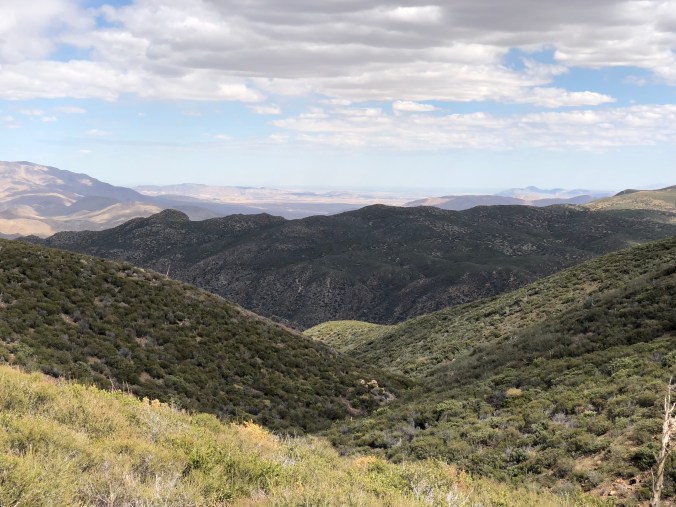 CBB4C8F3-31AA-47C4-A501-D89812F92BBE