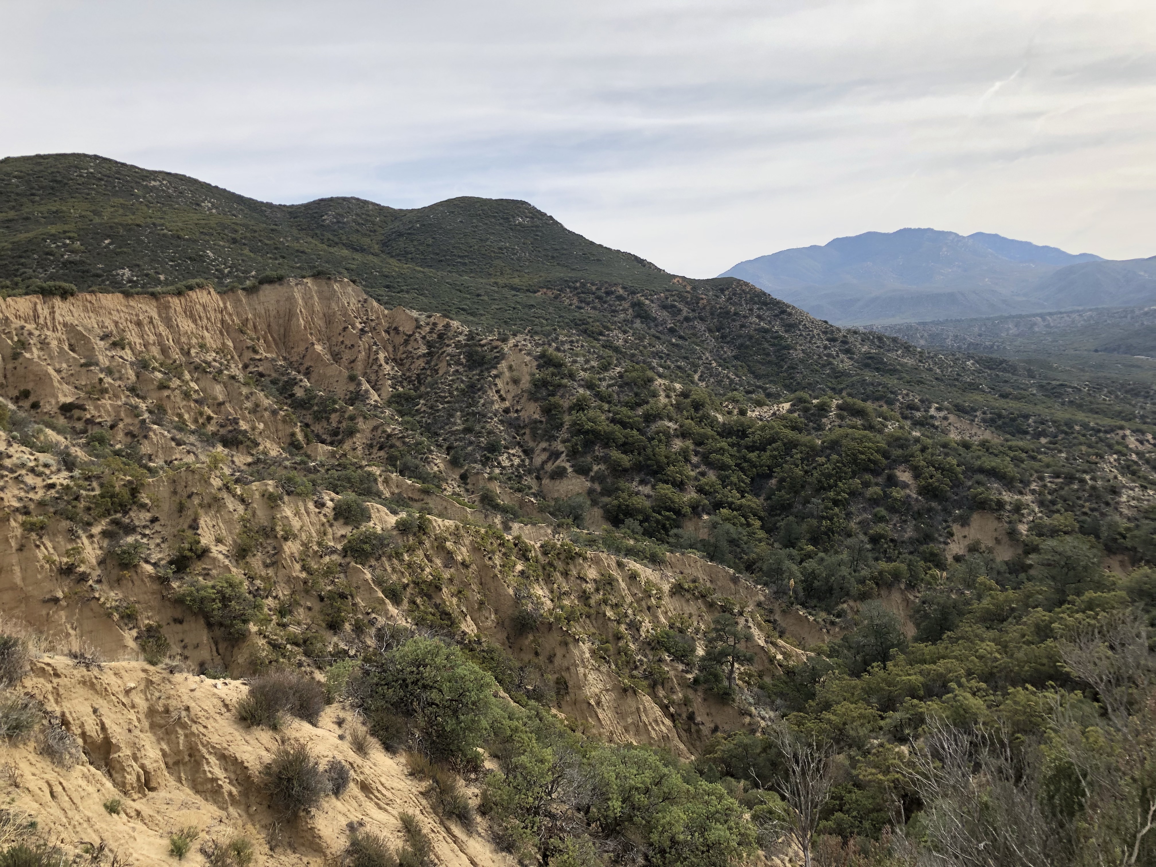 dqZZJh3mRwuAbzDEzUQRKw